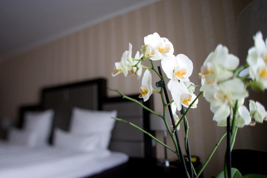 Top Hotel Kraemer Koblenz (Rhineland-Palatinate) Quarto foto